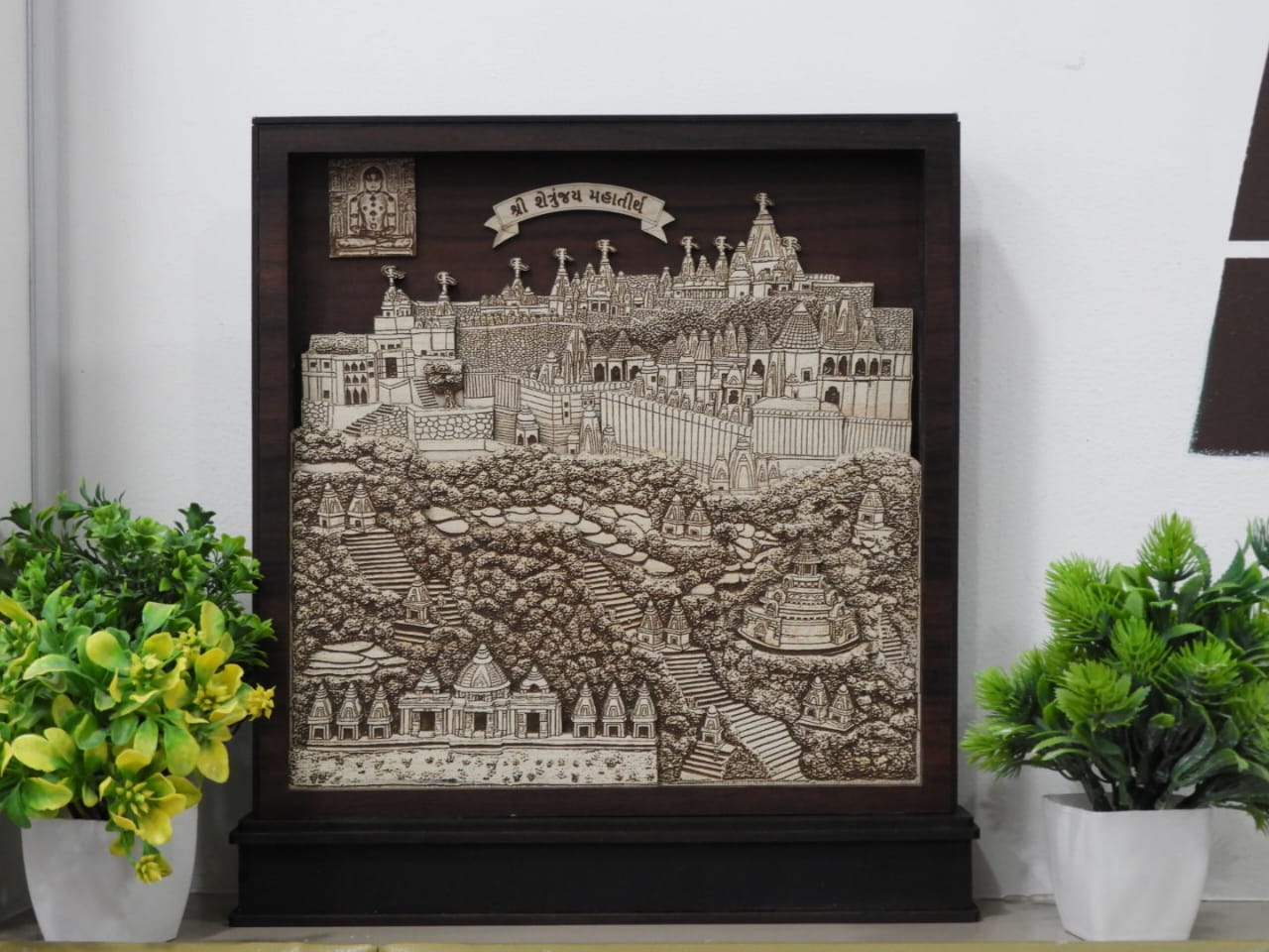 Palitana Shatrunjay Tirth (Full View)