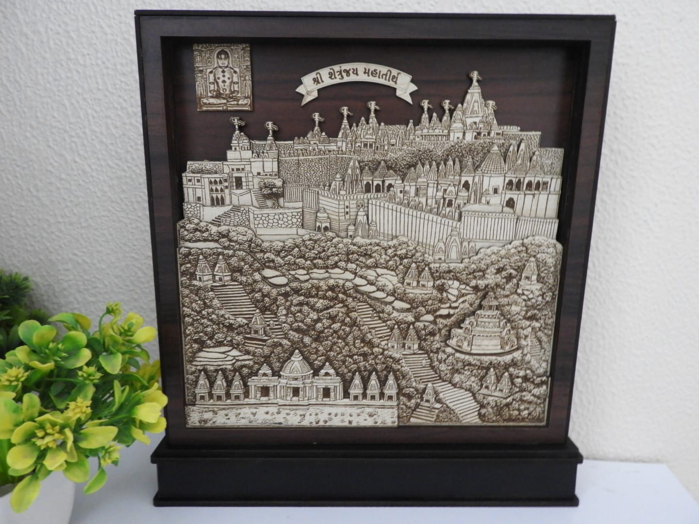 Palitana Shatrunjay Tirth (Full View)